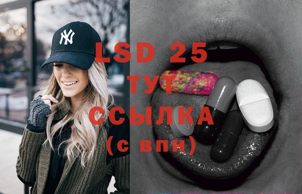 ПСИЛОЦИБИНОВЫЕ ГРИБЫ Алексеевка