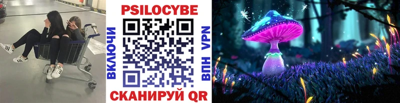 Купить где  Спасск-Дальний  Псилоцибиновые грибы Magic Shrooms 